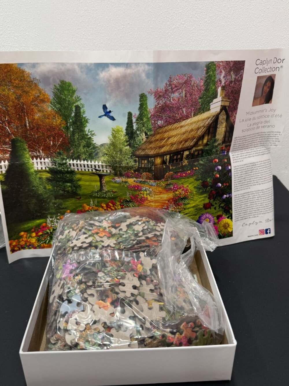 Caplyn Dor Collection jigsaw puzzle 🔴3/$25🔴Midsummer Joy 1000 piece - Picture 3 of 5